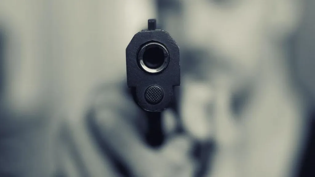 PÎCCJ face încă o arestare în dosarul armelor fantomă, aduse de ”Pitbull” din Turcia în România