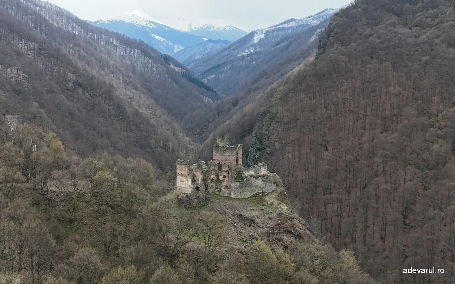 Cetatea Colț. Foto: Daniel Guță. ADEVĂRUL
