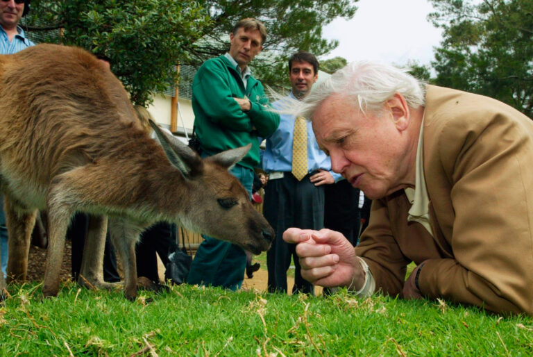 Mesajul lui Sir David Attenborough, „cel mai mare ambasador al vieții pe Pământ”, la împlinirea a 100 de ani