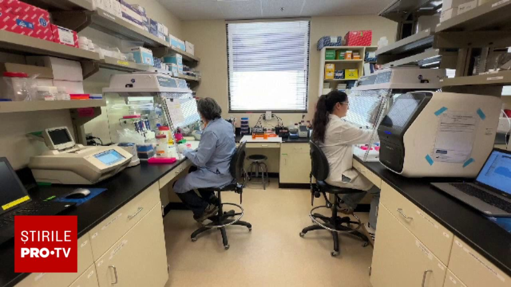 Presa din Ungaria, după confirmarea unui nou caz de hantavirus în România: „Virusul a ajuns deja la vecini”