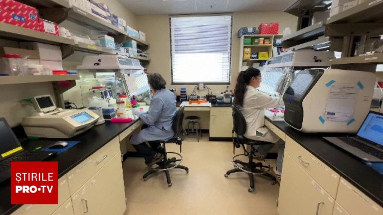Presa din Ungaria, după confirmarea unui nou caz de hantavirus în România: „Virusul a ajuns deja la vecini”