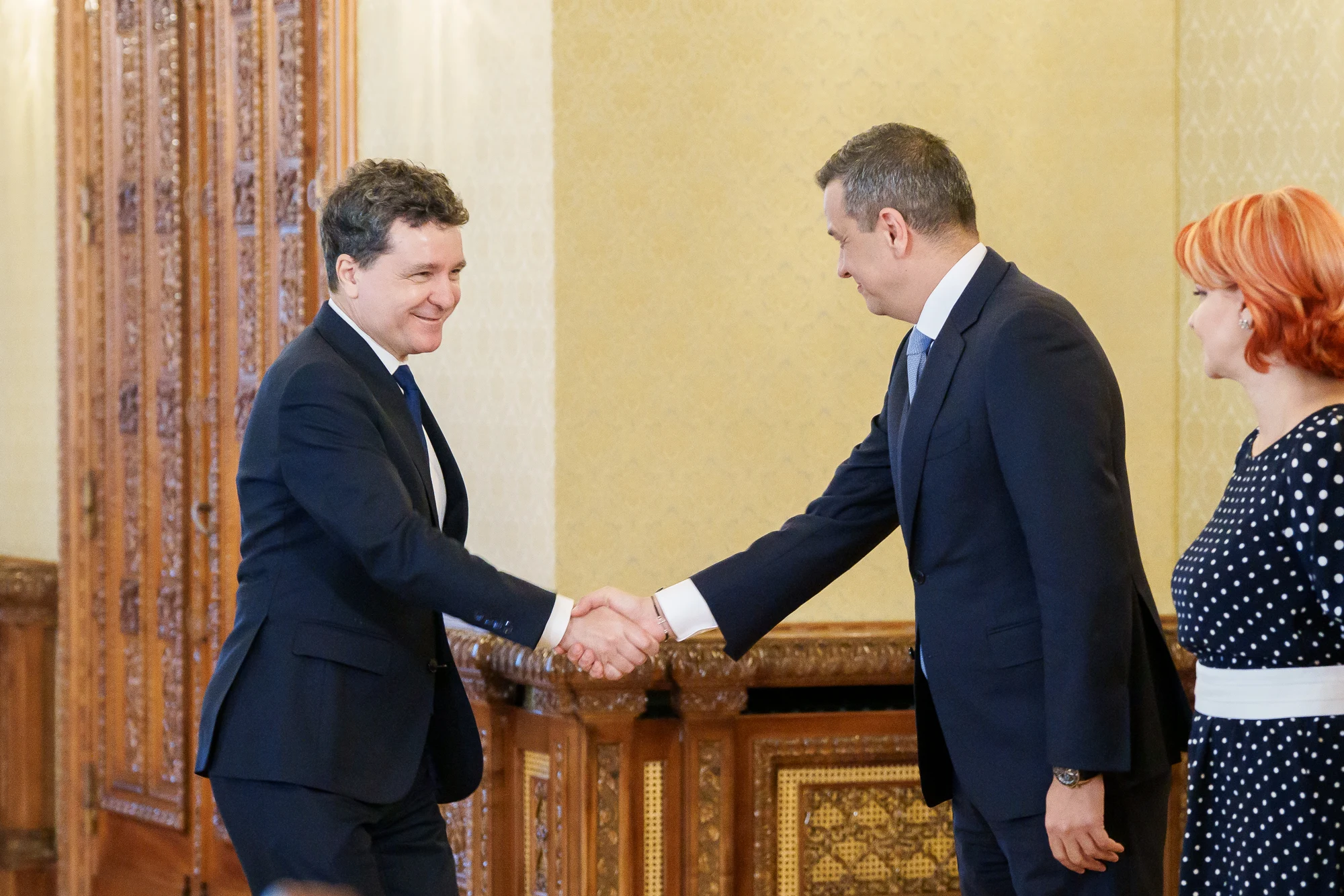 Nicușor Dan/Sorin Grindeanu Foto: Inquam Photos