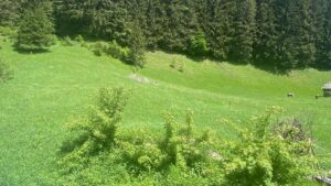 Adio cercetare uitată în sertare! USAMV intră direct în procesul decizional prin Pactul Național pentru Mediu