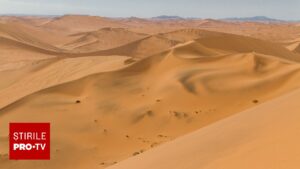 Aproape 50 de persoane au murit de sete în Sahara după ce camionul cu care călătoreau s-a defectat în deșert