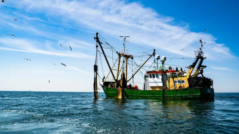 Barcă de pescuit turcească, atacată în Marea Neagră