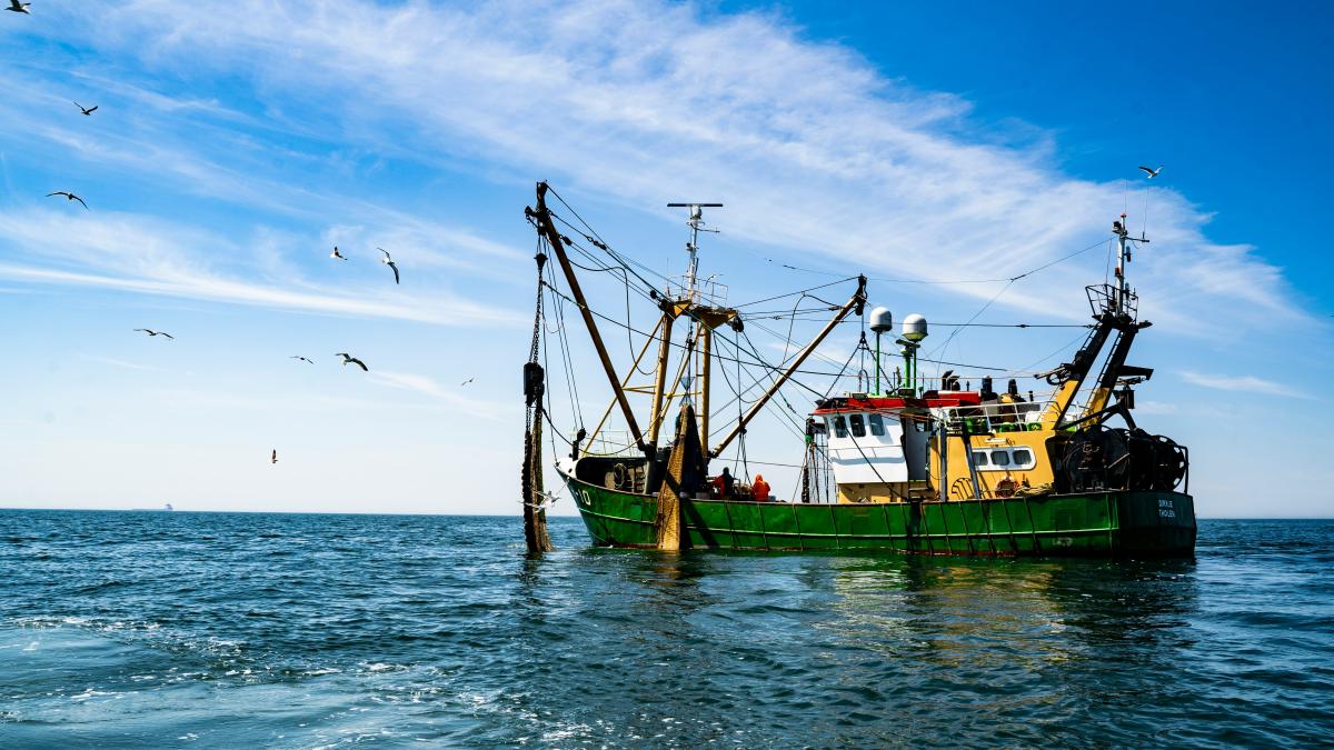 Barcă de pescuit turcească, atacată în Marea Neagră