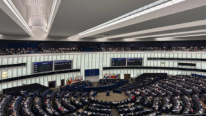 Criză identitară inclusiv la mâncare în UE: Parlamentul European interzice termenul „friptură pe bază de plante”