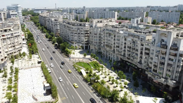 Invazie de fluturi în București. Ce spun experții despre acest fenomen neobișnuit