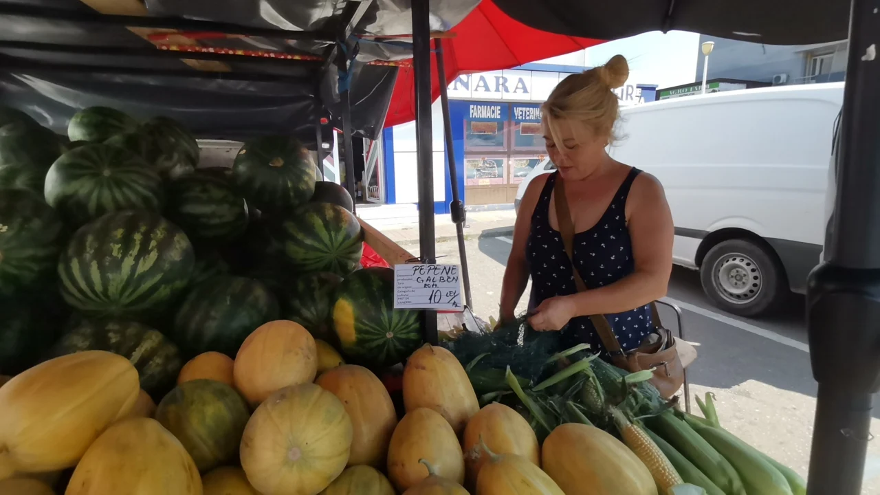 Pepeni de Dăbuleni, cumpărați de la producători și aduși &icirc;n piață FOTO: A.M.