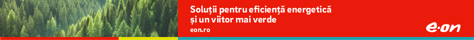 Justitie In-feed Wide