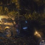 Furtuna a făcut ravagii în București și Ilfov: peste 900 de intervenții, un mort și Cod roșu de vijelie