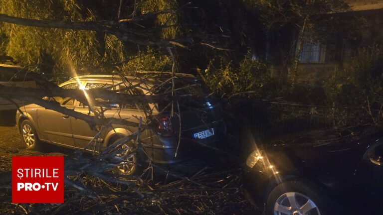 Furtuna a făcut ravagii în București și Ilfov: peste 900 de intervenții, un mort și Cod roșu de vijelie