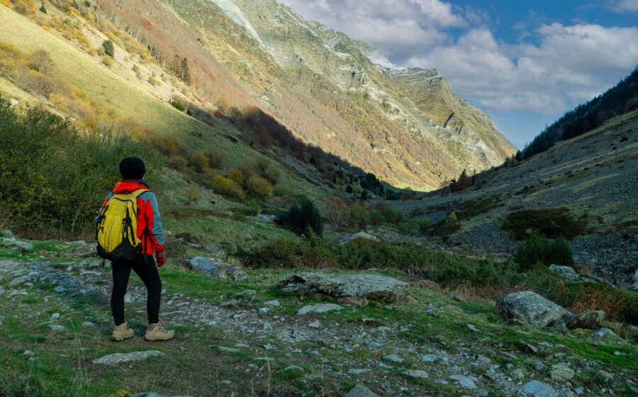 VIDEO Epopeea neașteptată a 37 de turişti polonezi din România, după ce s-a întâlnit cu o ursoiacă, care avea un pui, pe munte