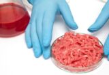 România pornește un război total împotriva cărnii cultivate în laborator și vrea să blocheze definitiv alimentele de eprubetă în toate magazinele