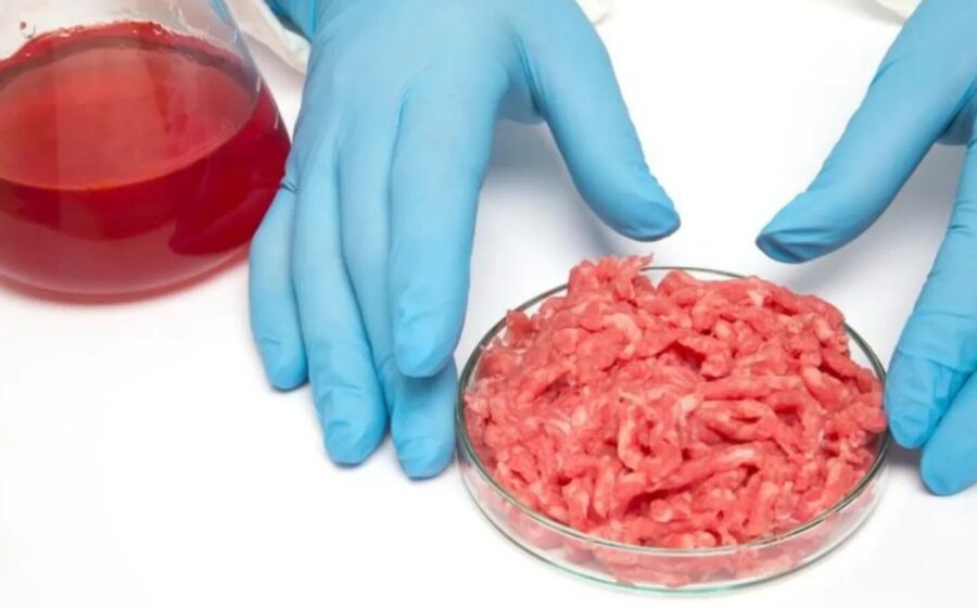 România pornește un război total împotriva cărnii cultivate în laborator și vrea să blocheze definitiv alimentele de eprubetă în toate magazinele