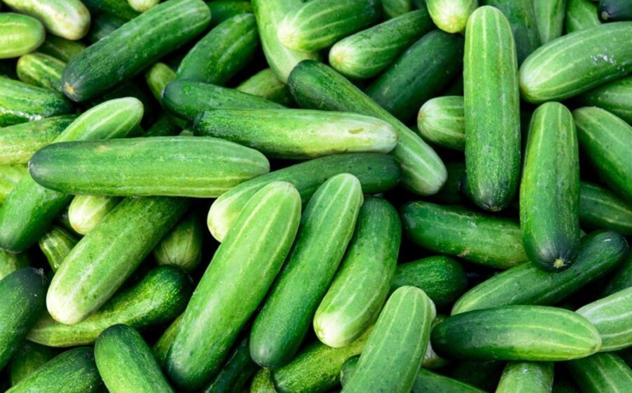 Trucul simplu care menține castraveții crocanți. Ce fac experții ca aceste legume să rămână proaspete și 2 săptămâni