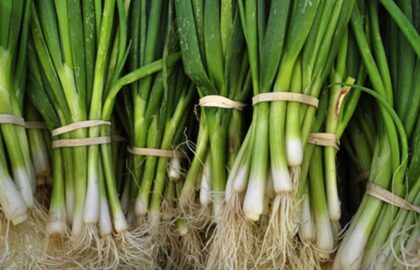 Cum păstrezi ceapa verde proaspătă mai mult timp și cum o poți regenera acasă. Trucurile simple care te ajută să economisești bani