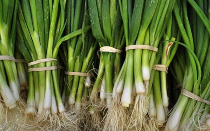 Cum păstrezi ceapa verde proaspătă mai mult timp și cum o poți regenera acasă. Trucurile simple care te ajută să economisești bani