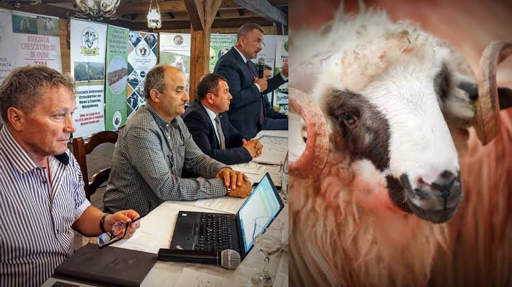Revoltă în zootehnie: Crescătorii de oi cer schimbarea șefului ANSVSA și acuză pierderi de 128 de milioane de euro