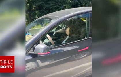 O femeie a fost filmată în timp ce dormea la volan într-o Tesla, pe o autostradă din Canada | VIDEO