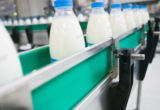 România riscă să piardă piața europeană. Abatoarele și procesatorii de lapte se opun vaccinării în masă a ovinelor: „Poate muri întregul sector”