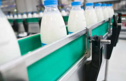 România riscă să piardă piața europeană. Abatoarele și procesatorii de lapte se opun vaccinării în masă a ovinelor: „Poate muri întregul sector”