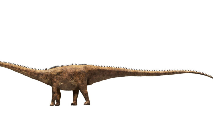 O nouă specie de dinozaur uriaș a fost descoperită pornind de la o singură vertebră