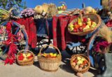 Când va fi organizat târgul Apulum Agraria 2026. Vor fi două etape, una la Alba Iulia și cealaltă la Ighiu