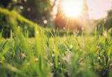 Vreme frumoasă și temperaturi de până la 30 de grade în Cluj, marți, 14 iulie. Prognoza pentru Cluj-Napoca și celelalte localități