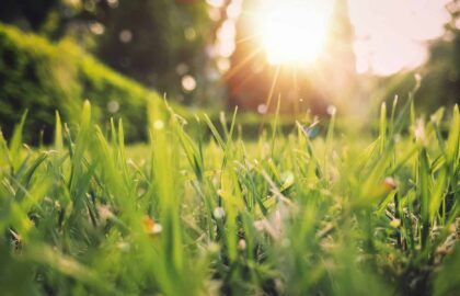 Vreme frumoasă și temperaturi de până la 30 de grade în Cluj, marți, 14 iulie. Prognoza pentru Cluj-Napoca și celelalte localități