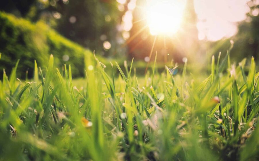 Vreme frumoasă și temperaturi de până la 30 de grade în Cluj, marți, 14 iulie. Prognoza pentru Cluj-Napoca și celelalte localități