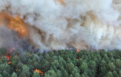 Incendiu de „amploare excepţională” în apropierea Parisului: este bănuită originea „voluntară”. Fontainebleau, „rezervație a biosferei”