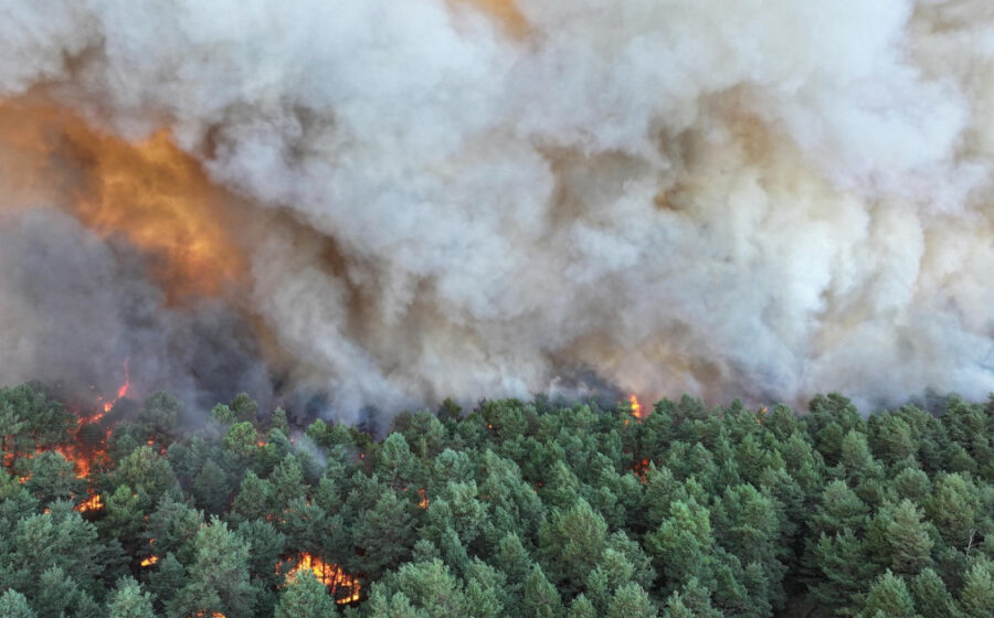Incendiu de „amploare excepţională” în apropierea Parisului: este bănuită originea „voluntară”. Fontainebleau, „rezervație a biosferei”