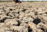 Avertismente sumbre ale experților despre „super El Nino”: fenomenul ar putea crește prețurile alimentelor timp de ani de zile