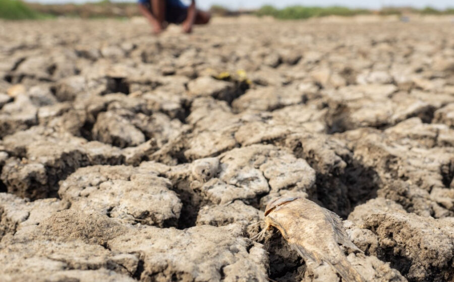 Avertismente sumbre ale experților despre „super El Nino”: fenomenul ar putea crește prețurile alimentelor timp de ani de zile