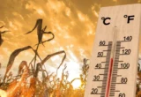 Meteorologii ANM au emis prognoza pe termen lung: Abia acum urmează valurile de caniculă și vară cu adevărat fierbinte