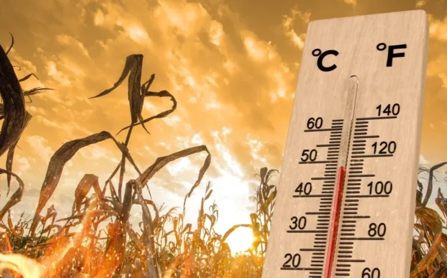Meteorologii ANM au emis prognoza pe termen lung: Abia acum urmează valurile de caniculă și vară cu adevărat fierbinte