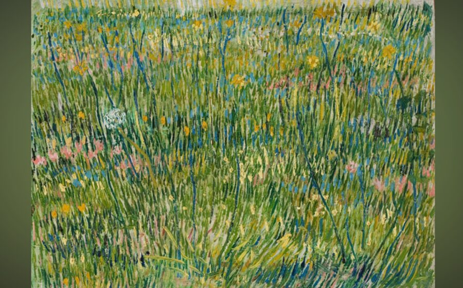 „Coin d’herbe”, pictat de Van Gogh, ascunde un chip