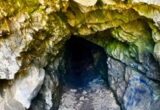Descoperire majoră: 16 specii necunoscute au ieșit la lumină din această peșteră