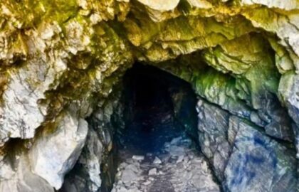 Descoperire majoră: 16 specii necunoscute au ieșit la lumină din această peșteră