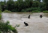 Doi tineri dispăruți în râul Argeș au fost găsiți morți după trei zile de căutări
