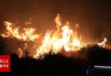 Peste 300 de incendii într-o singură zi în Sicilia. Sute de oameni au fost evacuați