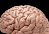 Obiceiul care poate afecta memoria și creierul. Mulți români îl practică în fiecare zi