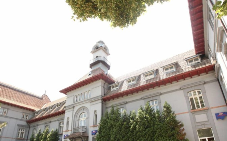 Pe 24 iulie 1937 a murit Alexandru Obregia. Povestea emoționantă a pionierului psihiatriei din România.