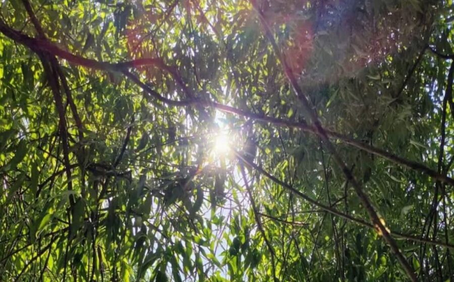 Vremea până în 24 august: o nouă perioadă de caniculă, ploi puține. Prognoza meteo pe patru săptămâni
