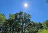 Vremea în Alba, în săptămâna 27 iulie