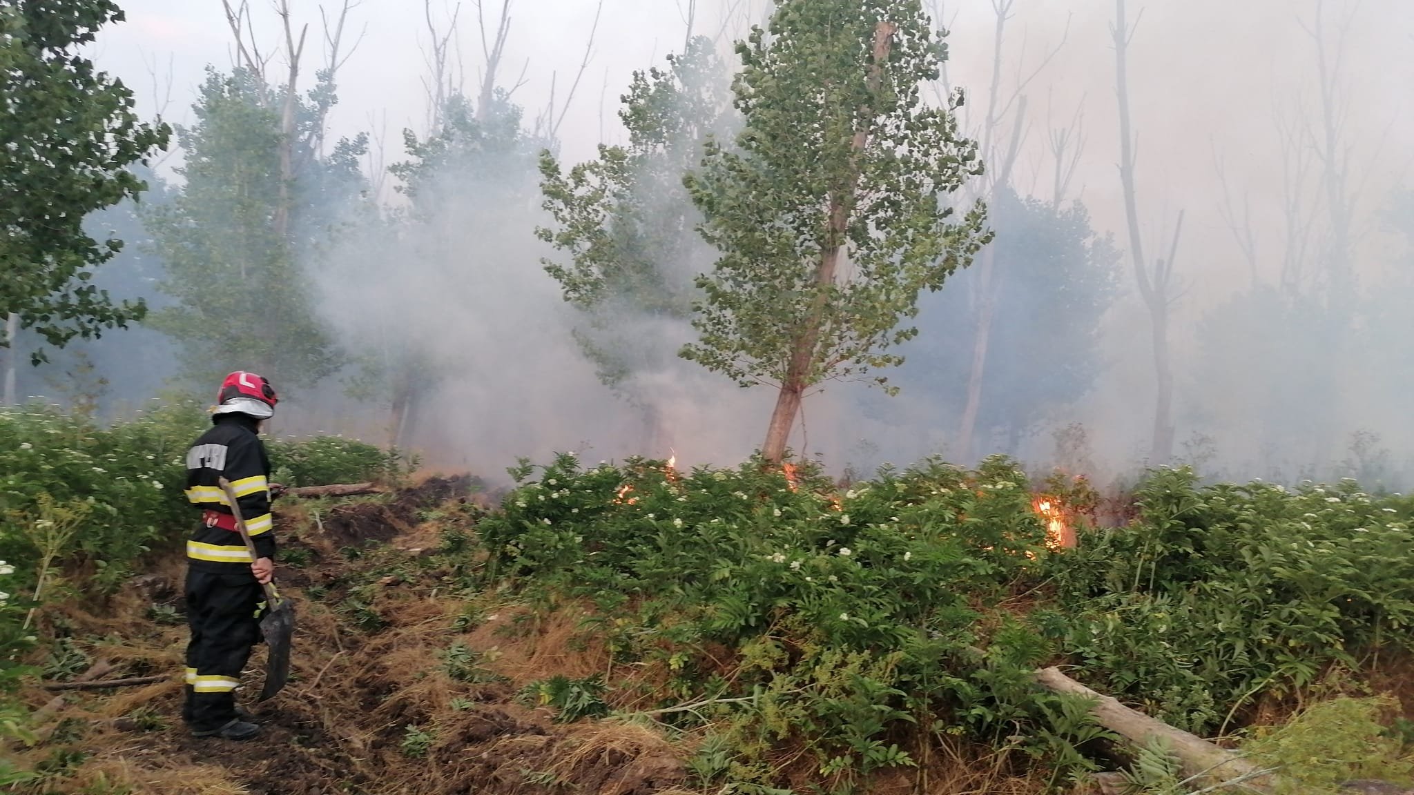 Incendiu rachelu