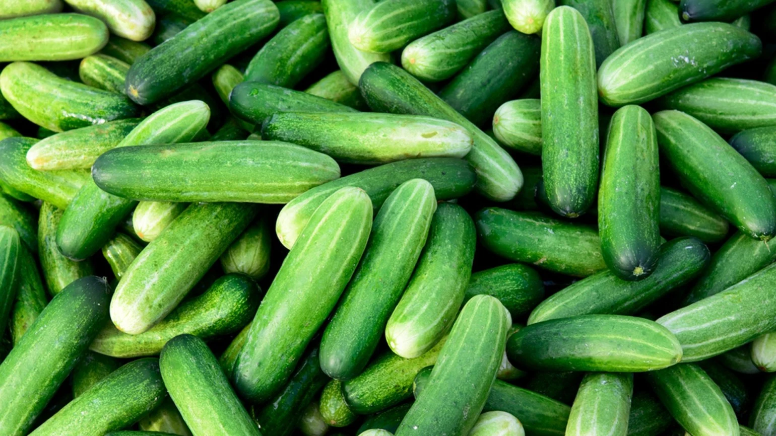 Cum să păstrezi castraveții crocanți/ sursă foto: arhivă